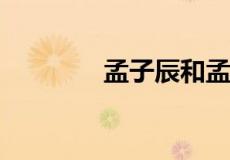 孟子辰和孟乾震叫什么小说