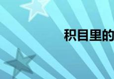 积目里的释放什么意思