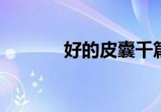 好的皮囊千篇一律整句是什么