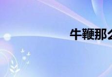 牛鞭那么长进得去吗
