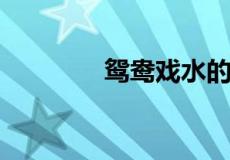 鸳鸯戏水的意思是什么意思