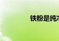 铁粉是纯净物还是混合物