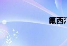 氟西汀什么意思