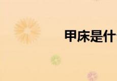 甲床是什么,最好有图片