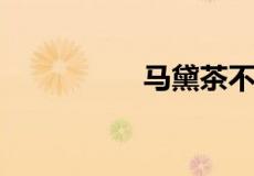 马黛茶不适合什么人喝