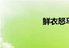 鲜衣怒马少年时全诗
