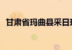 甘肃省玛曲县采日玛麦科村小学是真的吗？