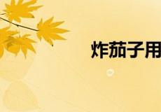 炸茄子用面粉还是淀粉