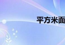 平方米面积怎么算公式