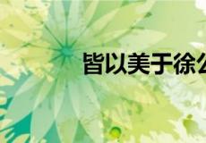 皆以美于徐公中于是什么意思