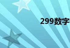 299数字代表什么意思