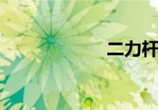 二力杆的判断条件