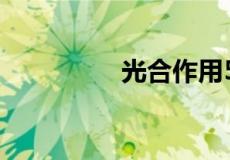 光合作用5个化学方程式