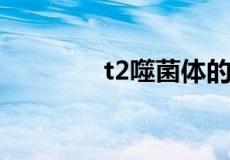 t2噬菌体的遗传物质是什么