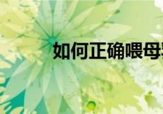 如何正确喂母乳 怎么正确喂母乳