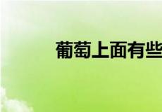 葡萄上面有些小疙瘩是怎么回事