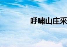 呼啸山庄采用什么叙述方法