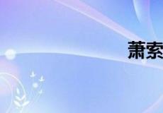 萧索什么意思