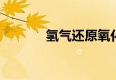 氢气还原氧化铁的化学方程式