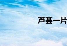 芦荟一片叶子能栽活吗