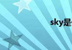 sky是什么意思梗