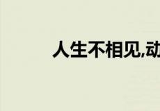 人生不相见,动如参与商比喻什么
