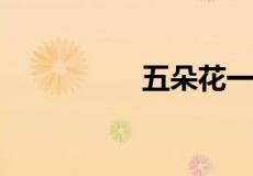 五朵花一排门打一成语