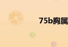75b胸属于大还是小呢