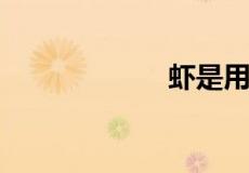 虾是用什么呼吸的