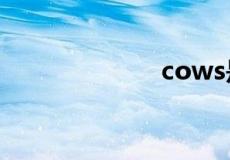 cows是什么意思