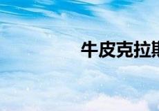 牛皮克拉斯风是什么意思