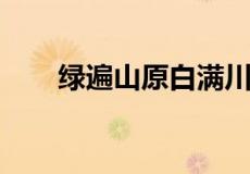 绿遍山原白满川的白满川是什么意思