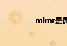 mlmr是属于杰克琼斯吗