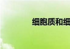 细胞质和细胞质基质的区别