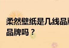 柔然壁纸是几线品牌？它在壁纸里面算是好的品牌吗？