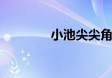 小池尖尖角指的是什么意思