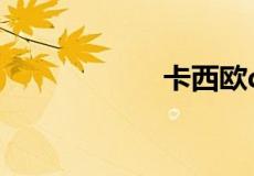 卡西欧dst什么意思