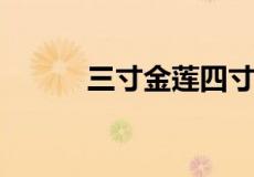 三寸金莲四寸腰打一生肖是什么