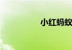 小红蚂蚁的窝一般在哪