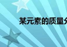 某元素的质量分数用什么符号表示