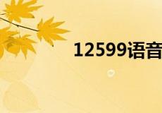 12599语音信箱是什么意思