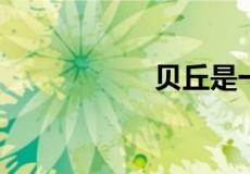 贝丘是一种什么遗迹