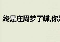 终是庄周梦了蝶,你是恩赐也是劫是什么意思