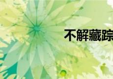 不解藏踪迹是什么意思