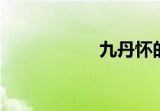 九丹怀的是占春的吗