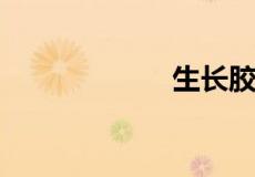 生长胶囊能长高吗