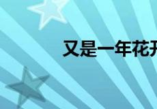 又是一年花开时下一句是什么