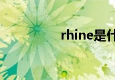 rhine是什么牌子的手表