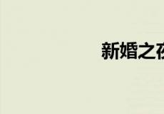 新婚之夜打地名是啥