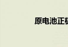 原电池正极发生什么反应